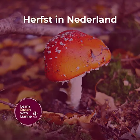 Afl. 36 - Herfst in Nederland